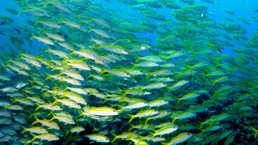    Andrei Kamenev/Globallookpress