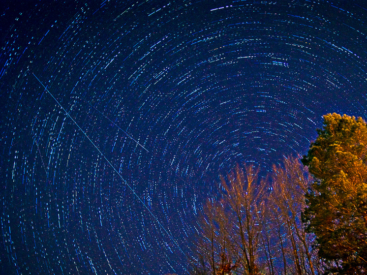 Фото: en.wikipedia.org