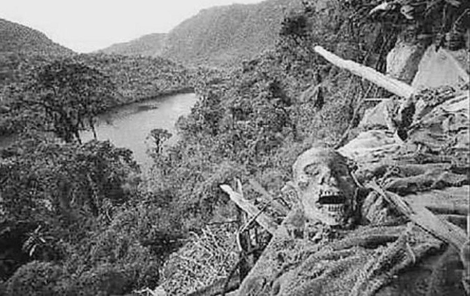 Изображение из свободных источников.