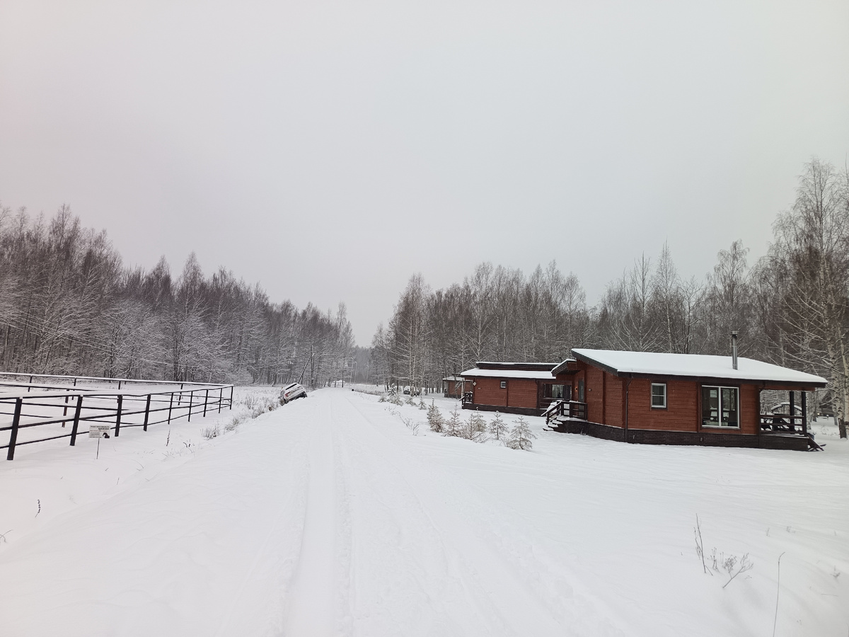 Наша зима 2024 