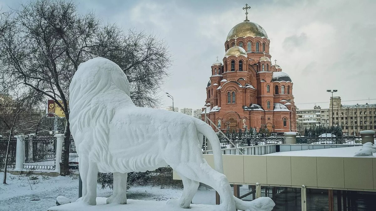     Источник: novostivolgograda.ru