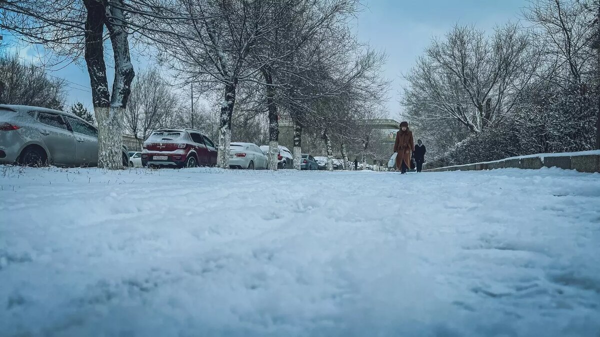     Источник: novostivolgograda.ru