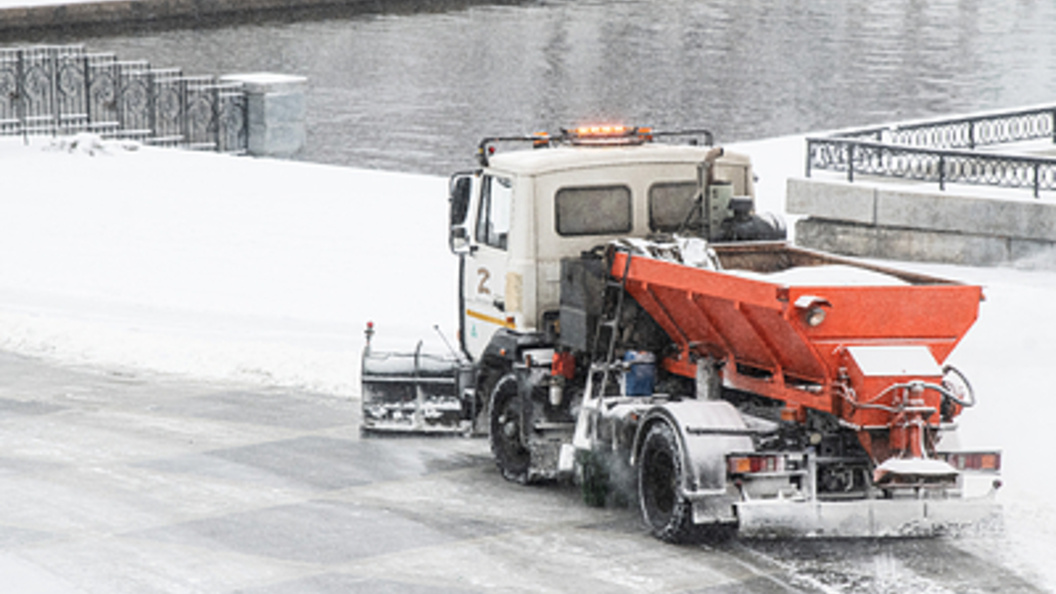    Фото: Ilya Moskovets/Globallookpress.