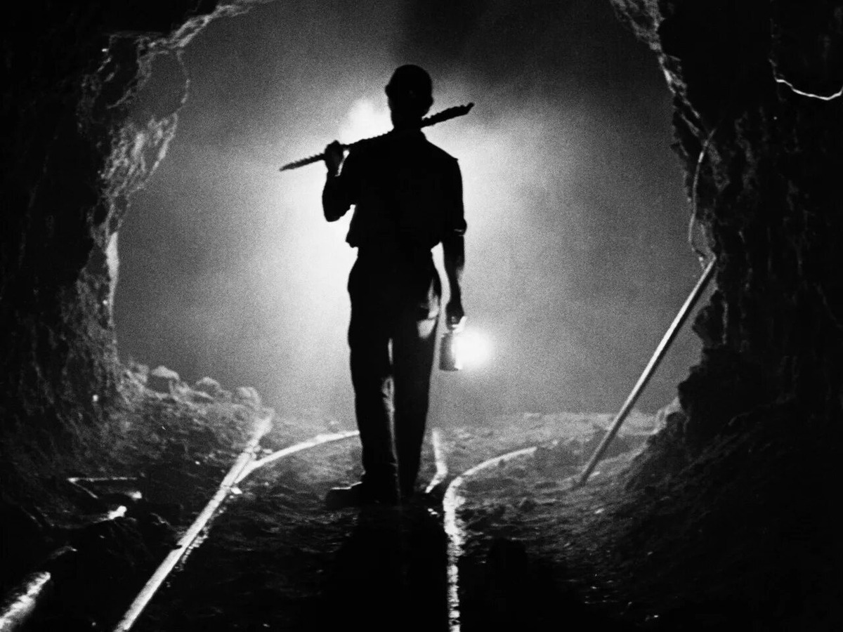 Изображение из открытых источников Яндекс 