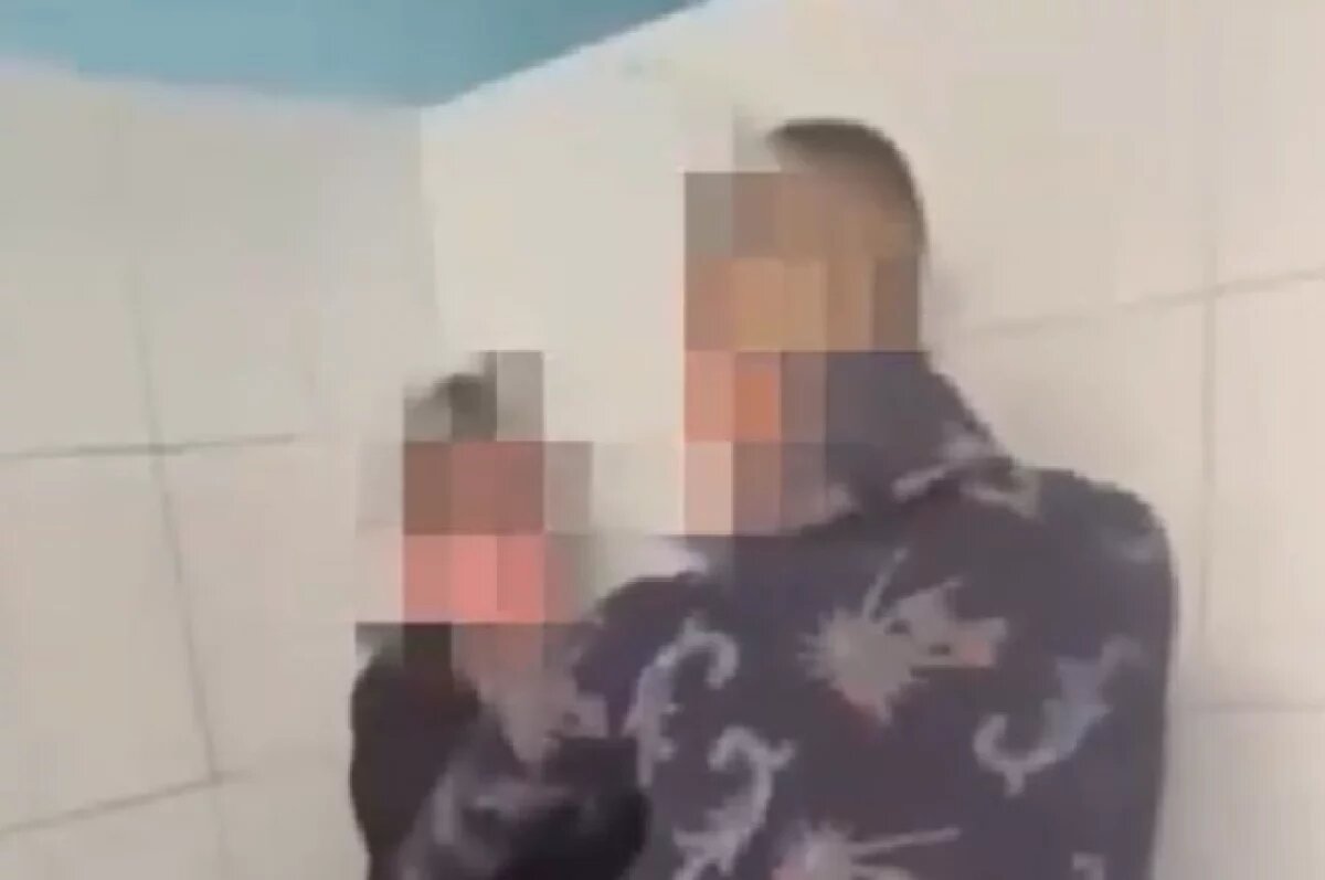    В Татарстане директор школы назвал инсценировкой драку школьников в туалете
