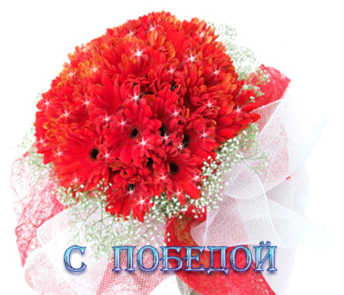 яндекс картинки