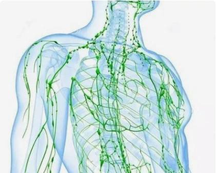 Лимфодренаж