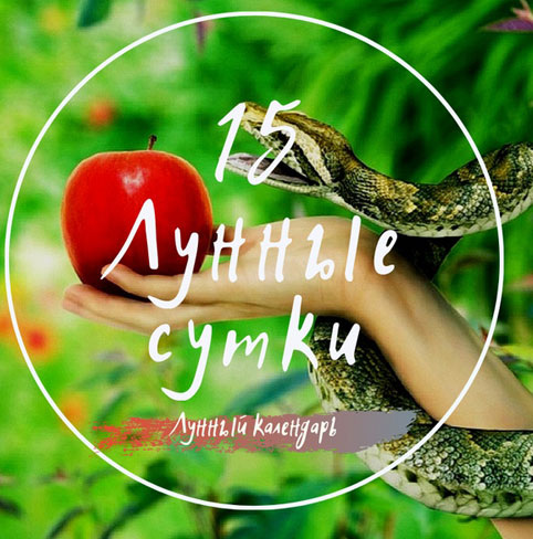 Лунный календарь и астропрогноз на 15.12.2024 года от астролога Елены Луженецкой