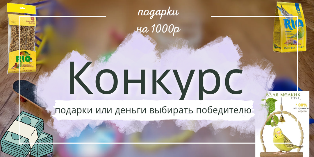 РОЗЫГРЫШ 1000Р💸 ИЛИ ПОДАРКИ 🎁