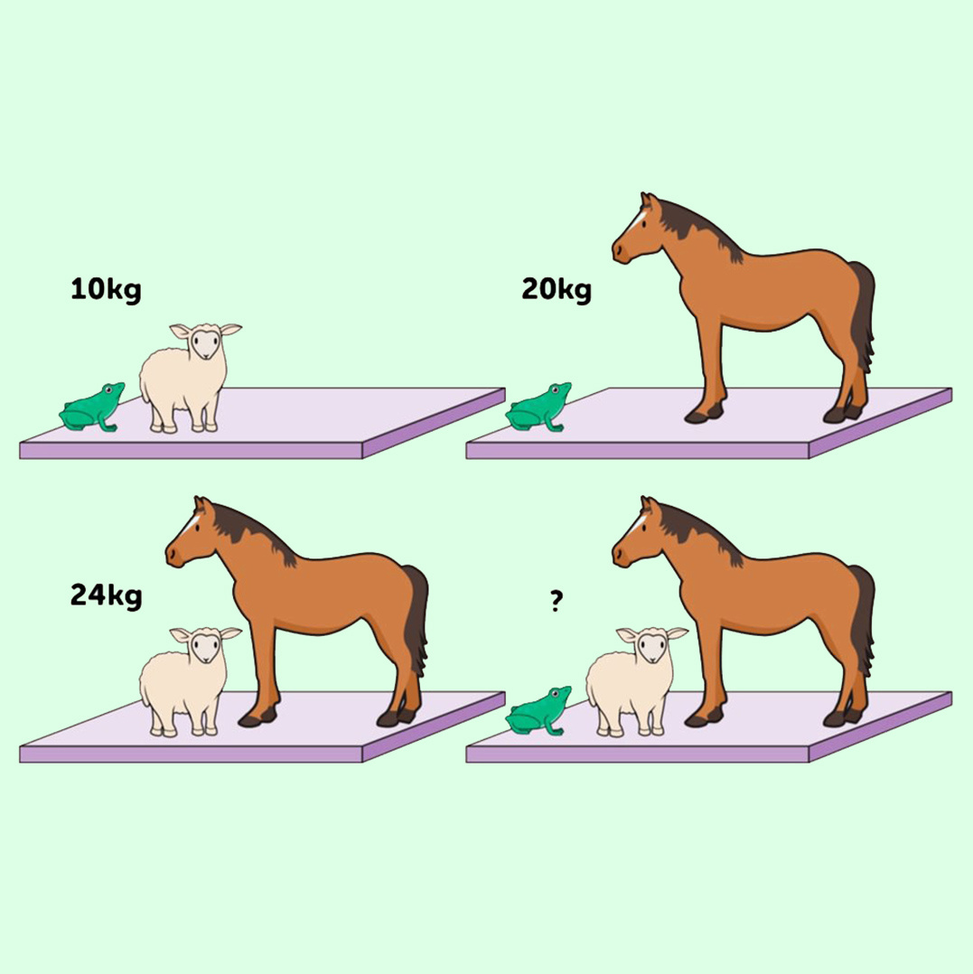 Сколько весят лошадь, овца и лягушка вместе?