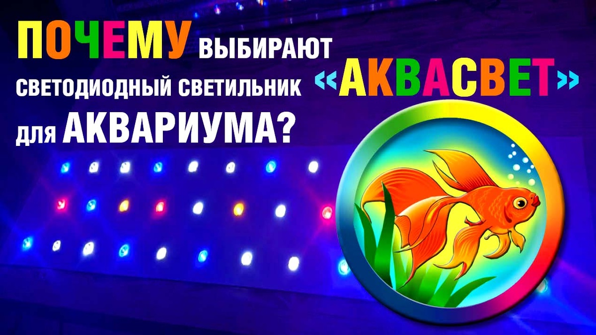 Почему стоит выбрать светодиодный светильник компании "Аквасвет" для вашего аквариума.