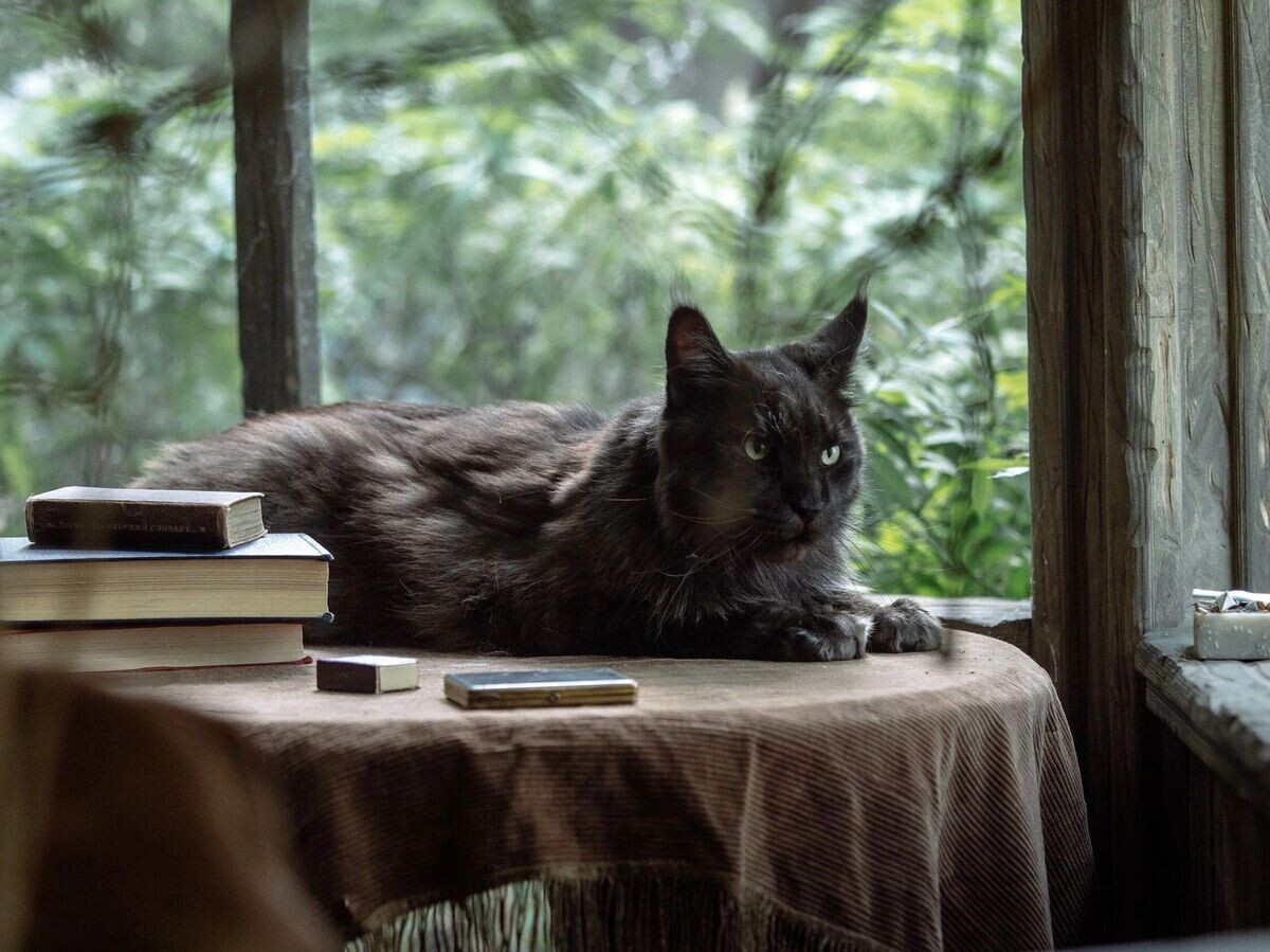    Кадр из фильма "Мастер и Маргарита"© Марс Медиа Энтертейнмент, АМЕДИА (2023)