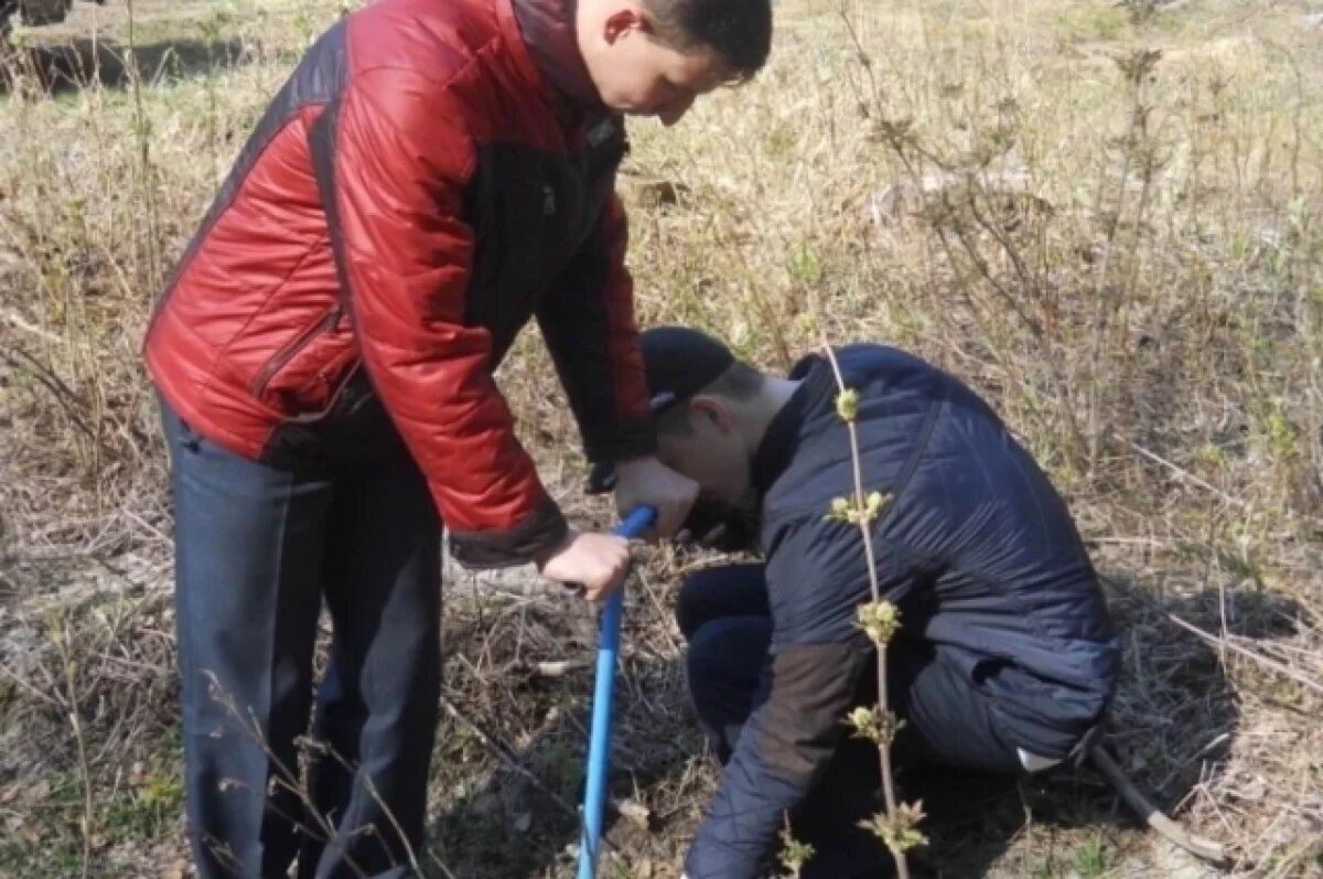    В Калужской области отмечает 10-летие лесничество Теребенской средней школы