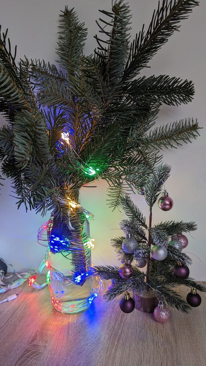 Прошлогоднее «украшение»