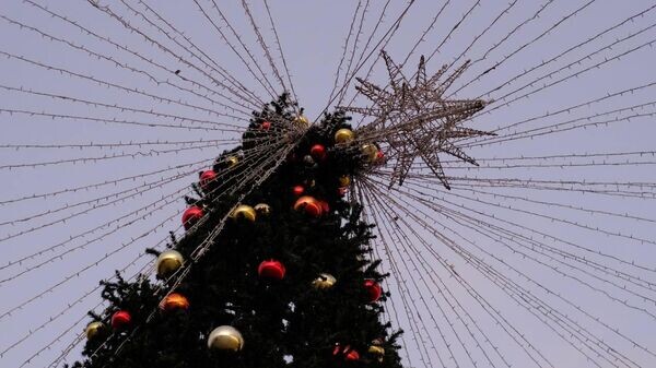    © Telegram-канал главы администрации Ялты Янины Павленко