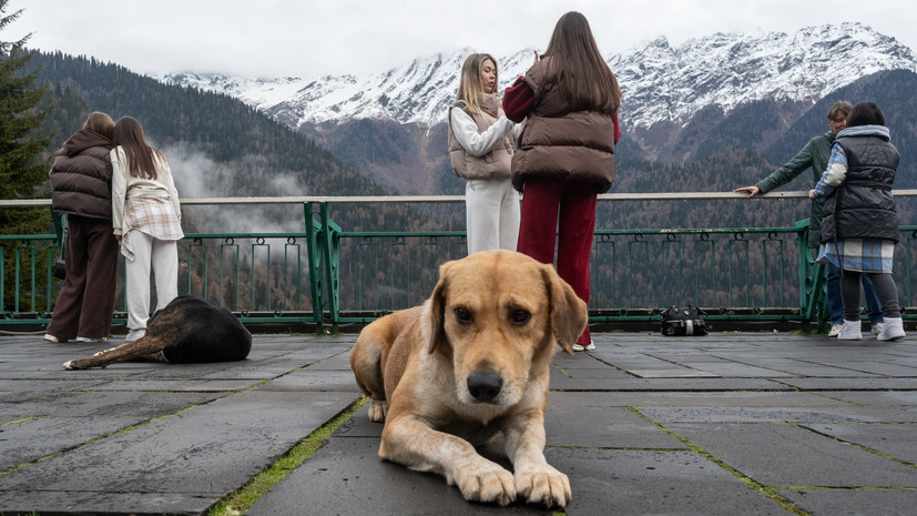   РИА Новости Илья Питалев