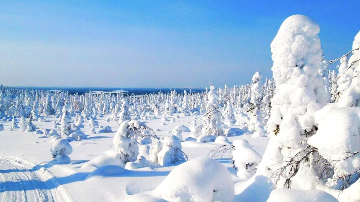 Карелия зимой