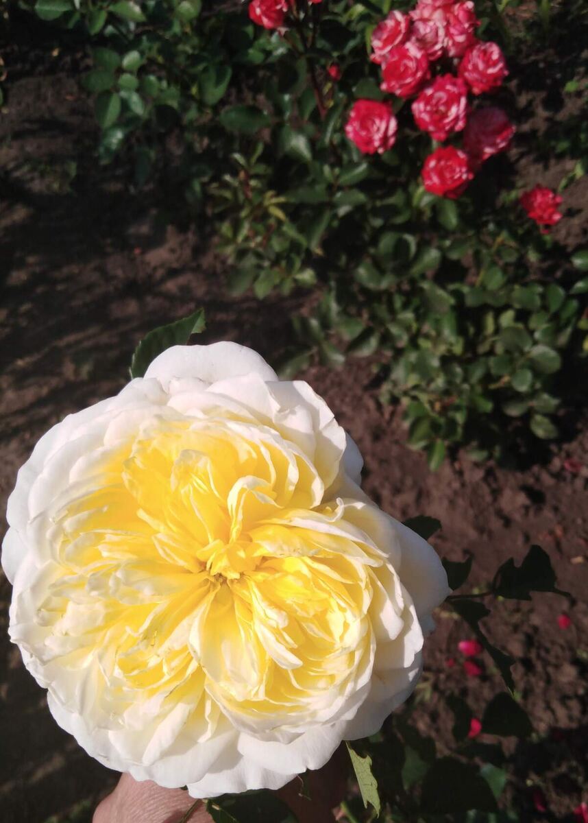 фото Татьяны