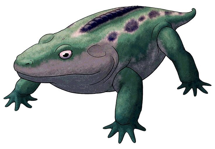 Какопс. Изображение из открытых источников.