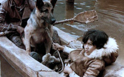 Кадр из фильма "Белый клык" взят для иллюстрации из Яндекс Картинки.