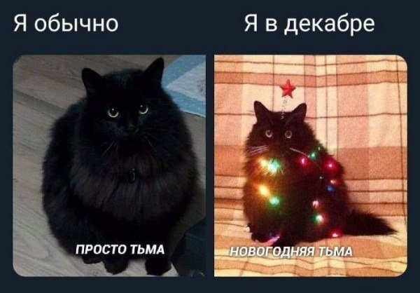 Котики, огоньки и дергающийся глаз: мемы про новогоднее настроение