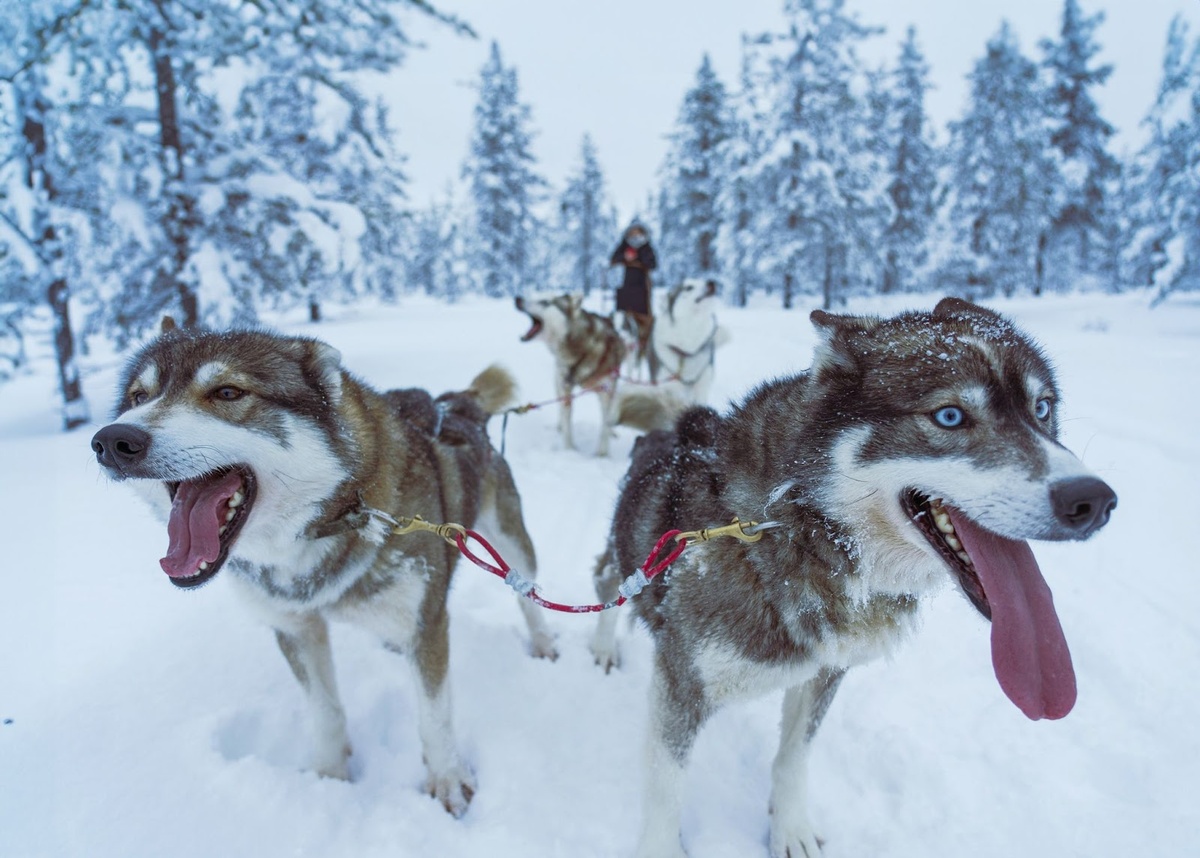 © Unsplash / Ugur Arpaci