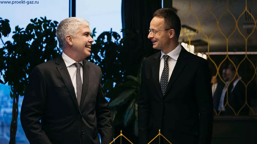 Министр иностранных дел и внешнеэкономических связей Венгрии Петер Сийярто и министр энергетики технического правительства Болгарии Владимир Малинов