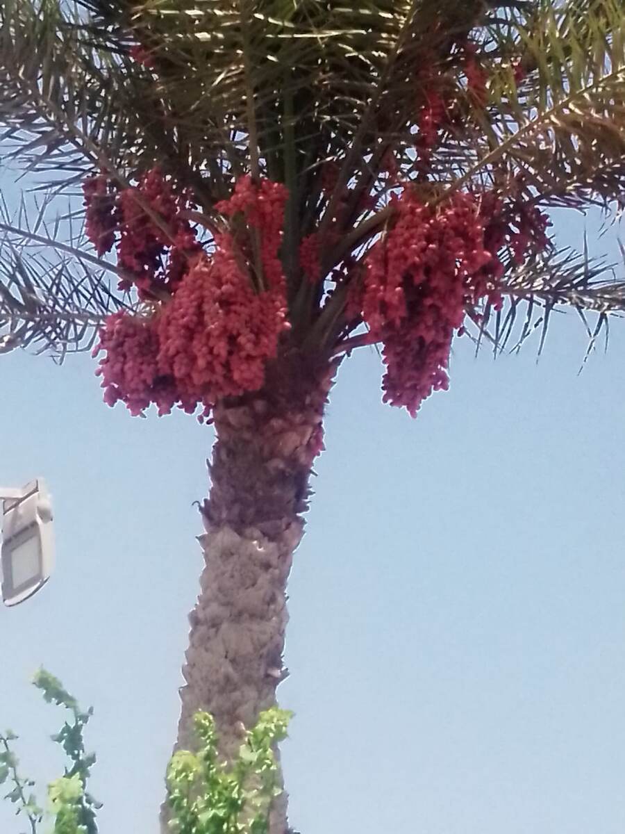 фото из личного архива