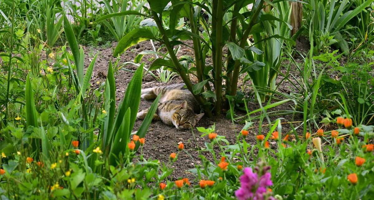 Фото: Polina Grishma / Unsplash