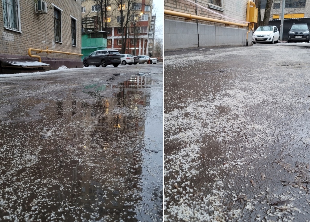 Коммунальщики не жалеют соли, а соль не жалеет наши машины, питомцев и обувь