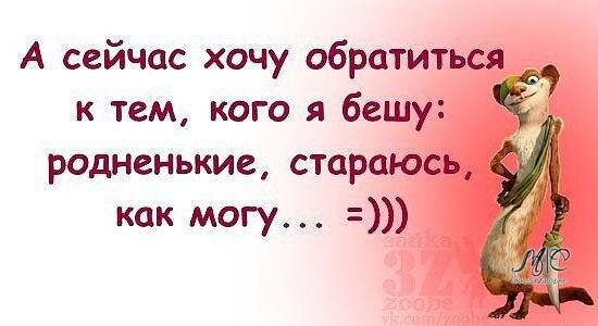 Фото из открытых источников интернета 