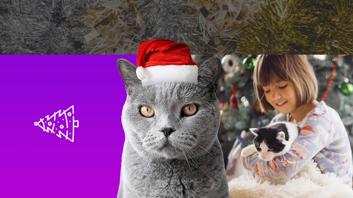 Коллаж 78.ru: freepik.com/freepik; freepic.diller, flaticon.com/Freepik