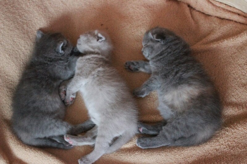 личное фото