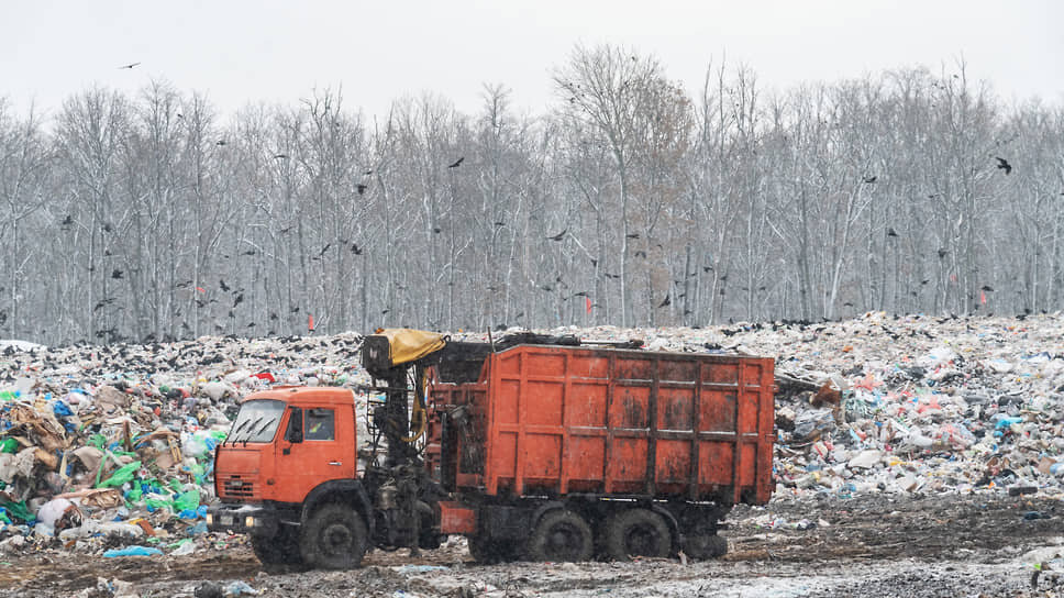 Фото: Олег Харсеев / Коммерсантъ