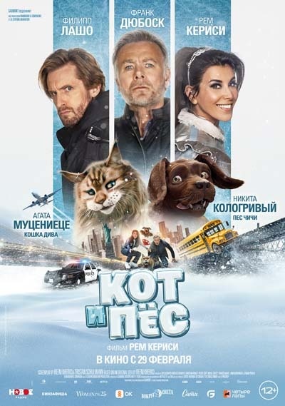 -8