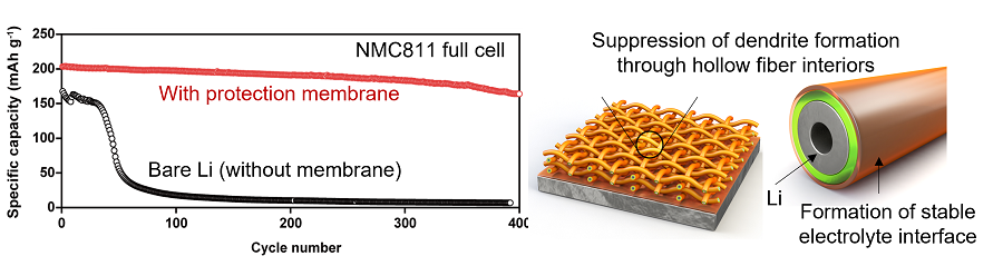 Характеристики полноэлементных литий-металлических аккумуляторов с недавно разработанной защитной мембраной. 