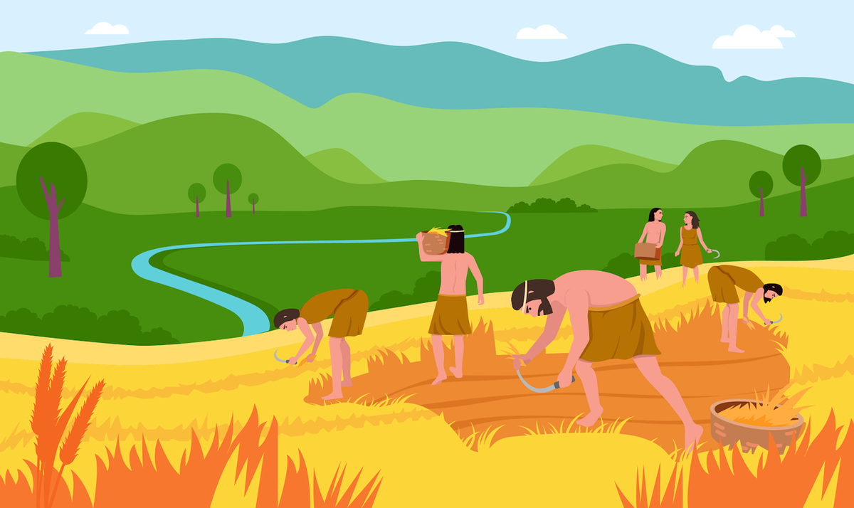 Первые земледельцы трудятся на полях.