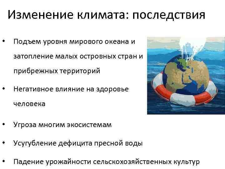 Изображение из интернета.