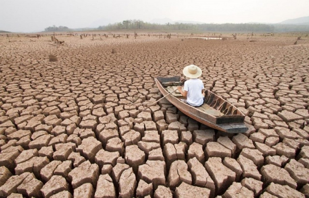 Изображение из интернета.