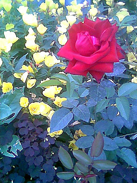 Извиняюсь за качество фотографий, тогда у меня была  дешевая "мыльница"