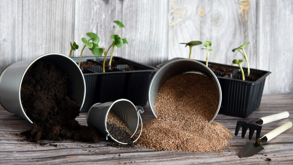 Вермикулит для растений. Фото: shutterstock.com