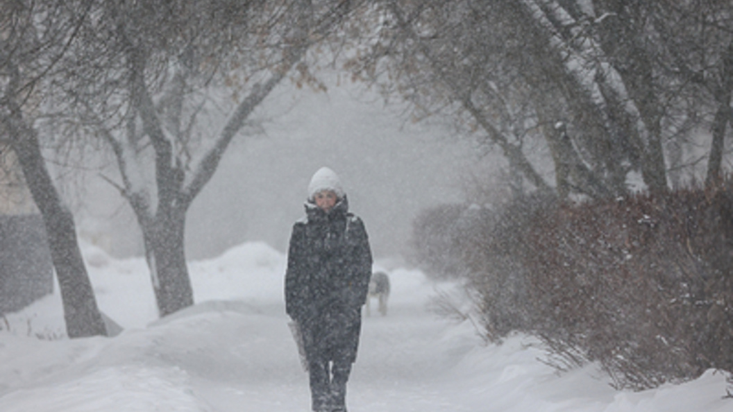    Фото: Alexey Belkin/Globallookpress.