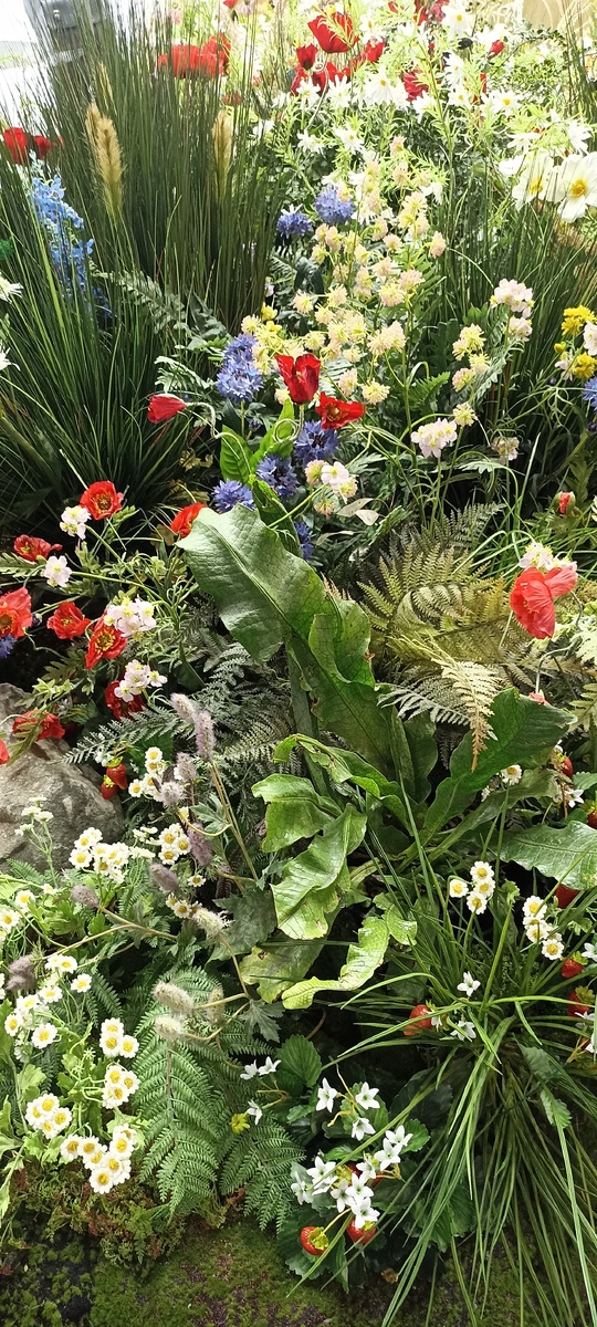 Полевые цветы