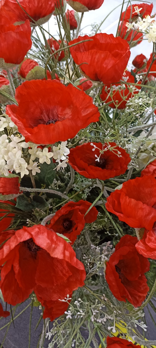 Красочные маки