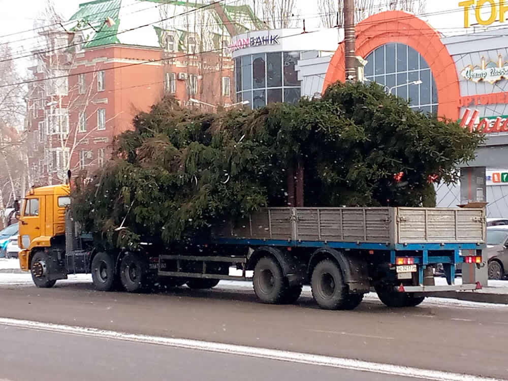 (с) В один день.