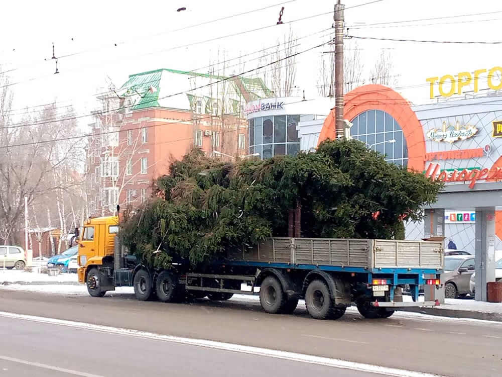 (с) В один день.