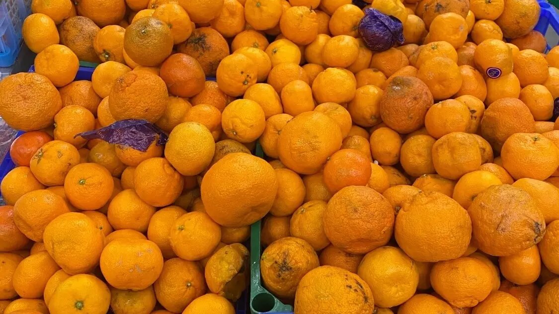     Источник: https://vk.com/podslushanovptz?w=wall-59517317_258538