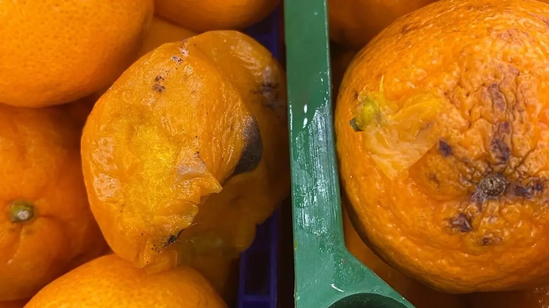     Источник: https://vk.com/podslushanovptz?w=wall-59517317_258538