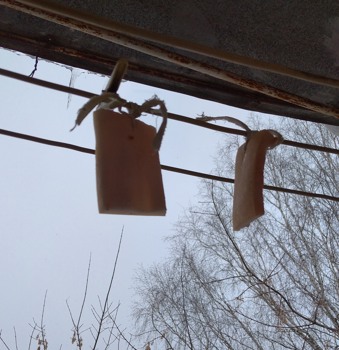 личное фото