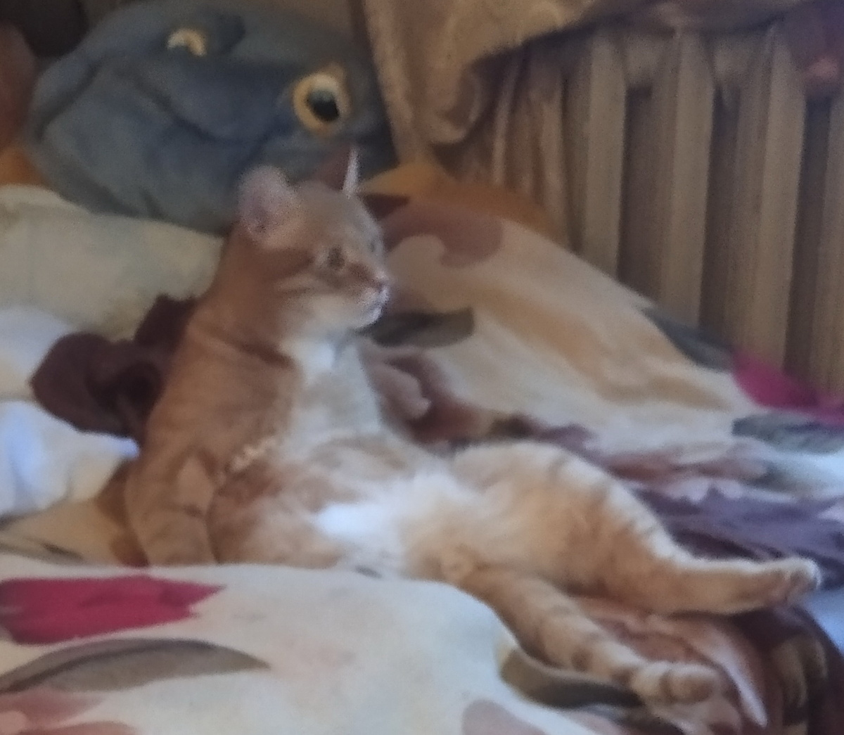 Личное фото